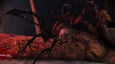 Dragon Age Awakening 2 (c) Bioware/EA / Zum Vergrößern auf das Bild klicken