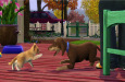 (C) EA Play/The Sims Studio/Electronic Arts / Die Sims 3: Einfach tierisch / Zum Vergrößern auf das Bild klicken