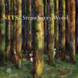 NITS strawberry wood (c) Smd Werf/Sony Music / Zum Vergrößern auf das Bild klicken