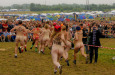 (C) Sebastian Dudey / Roskilde Nacktlauf / Zum Vergrößern auf das Bild klicken